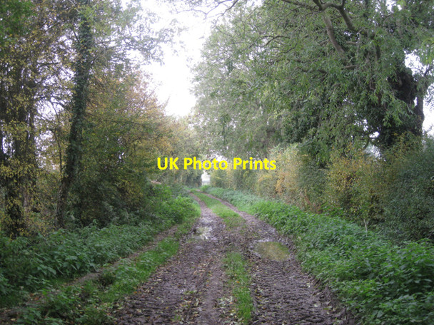 Photo 6"x4" Rushen Lane Littleton-upon-severn c2010