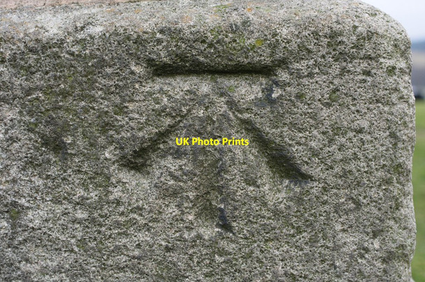 Photo 6"x4" Cut Bench Mark (close-up) Danebank c2010 P1