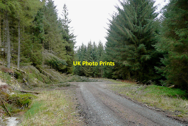 Photo 6"x4" Forestry road on Cnwch Rhiwhalog, Ceredigion Cefn Ty'n-y-graig c2010