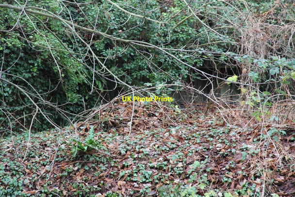 Photo 6"x4" Loophole under the branches Sheffield Bottom c2010