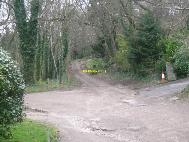 Photo 6"x4" Grass Hill Reading c2009