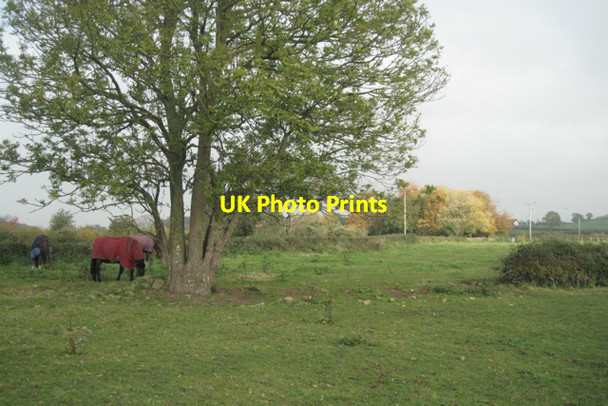 Photo 6"x4" Enlarged paddock Littleton-upon-severn c2010