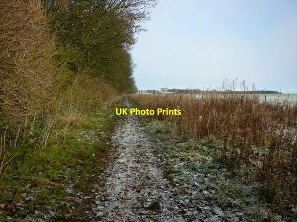 Photo 6"x4" Walking the Beverley 20 towards Welton Wold Farm Welton\/SE9627 c2010