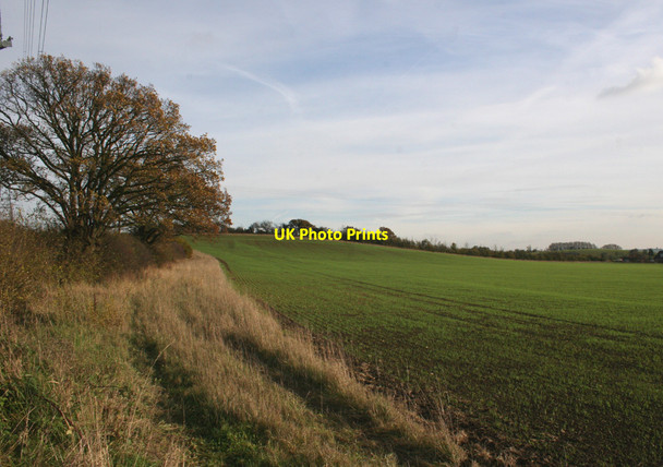 Photo 6"x4" Farm View North Fambridge c2010