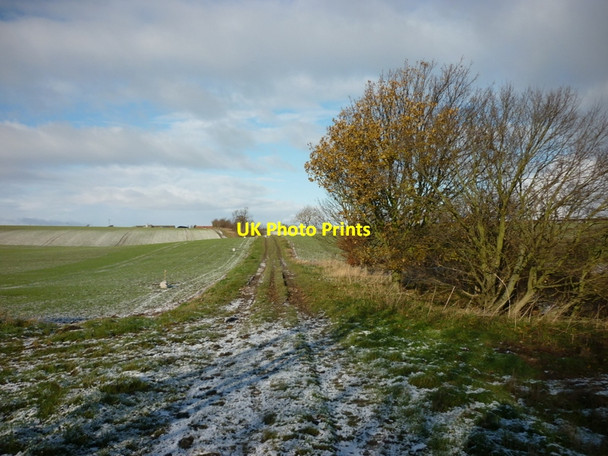 Photo 6"x4" A farm track towards Risby Park Farm Risby\/TA0034 c2010