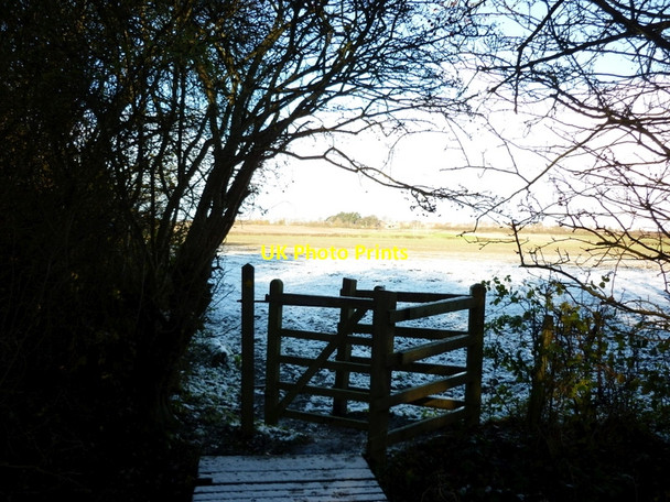 Photo 6"x4" The Beverley 20 (walk) towards Beverley Bentley\/TA0135 c2010