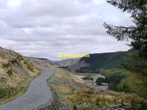 Photo 6"x4" Forestry road and Tywi Valley, Ceredigion Cefn Ty'n-y-graig c2010