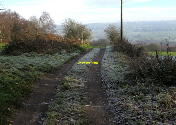 Photo 6"x4" Down the track Biddulph c2010