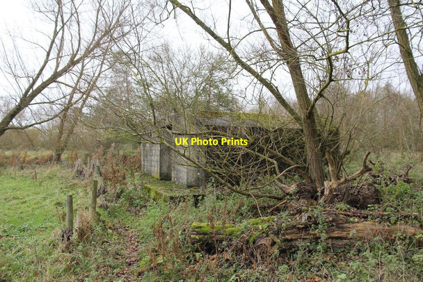 Photo 6"x4" Path to the back Sheffield Bottom c2010