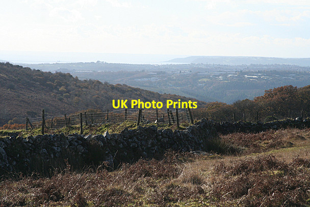 Photo 6"x4" Meavy: North Wood from Wigford Down Shaugh Prior c2010
