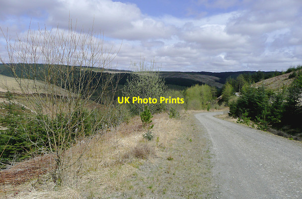 Photo 6"x4" Forestry road on Cnwch Rhiwhalog, Ceredigion Cnwch Rhiwhalog c2010