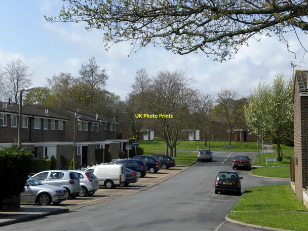 Photo 6"x4" Cowden Road Orpington c2008