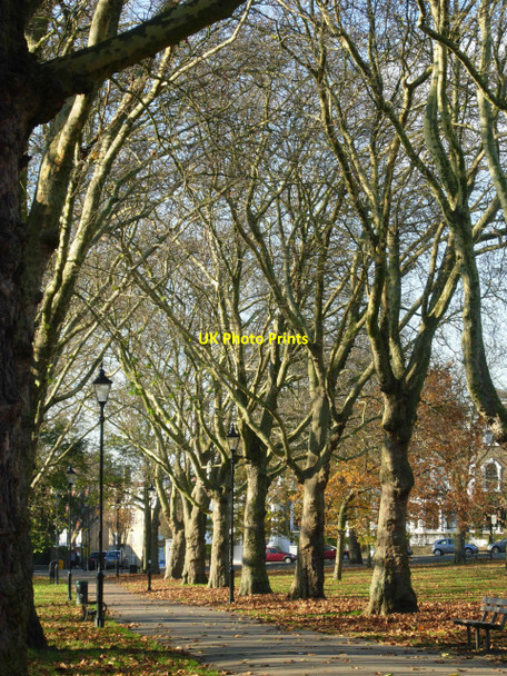Photo 6"x4" Highbury Fields Islington\/TQ3184 c2010