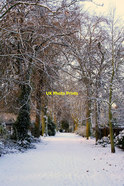 Photo 6"x4" Path in West Park 3 Long Eaton c2010