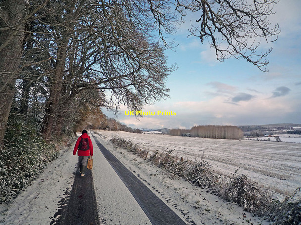 Photo 6"x4" The road to Munlochy near Allangrange Arpafeelie c2010