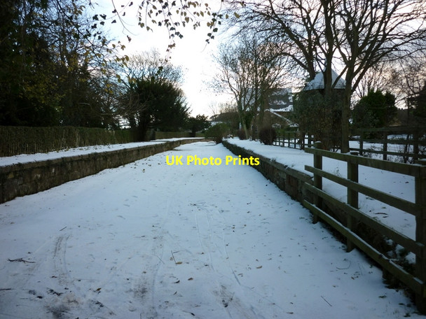 Photo 6"x4" The old station platforms near Staintondale Crowdon c2010