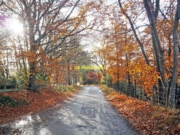 Photo 6"x4" The Knockbain to Munlochy Road alongside Briarwood Munlochy c2010