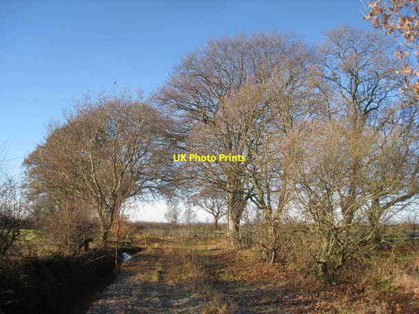 Photo 6"x4" Track in winter Rockcliffe Cross c2010