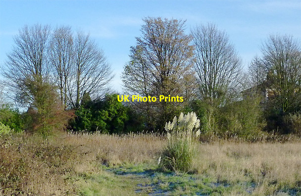 Photo 6"x4" Rough land by Goldthorn Park, Wolverhampton Sedgley c2010
