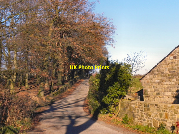 Photo 6"x4" Unnamed Lane, Bromley Cross Toppings c2010