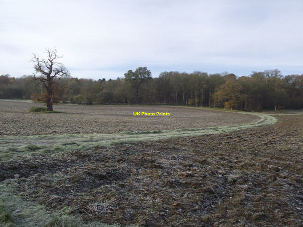 Photo 6"x4" Farm Track Little Saxham c2010