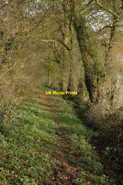 Photo 6"x4" Bridleway at Bayton Common Bayton Common c2010