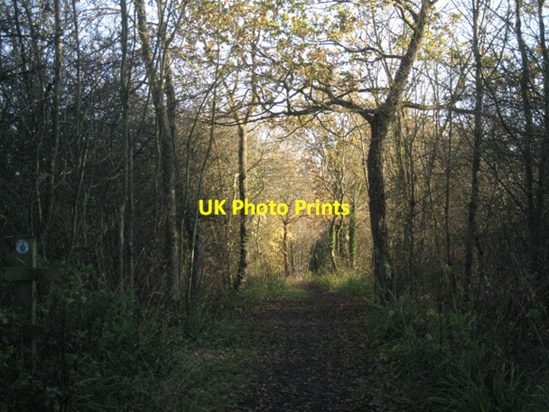 Photo 6"x4" Footpath to Claverdon Lye Green\/SP1965 c2010