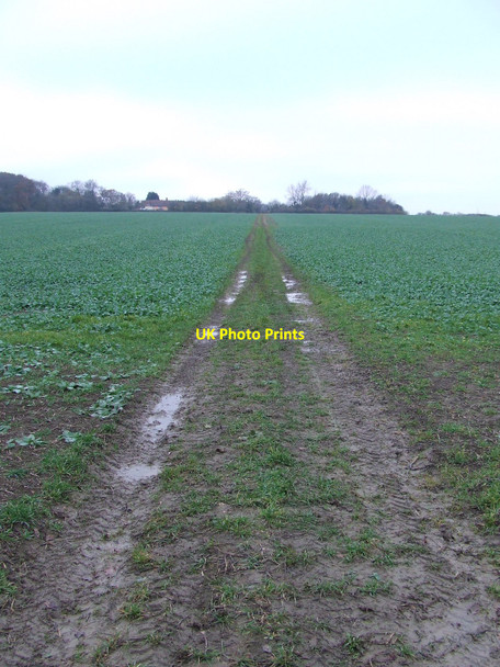 Photo 6"x4" Muddy Track Lavenham c2010