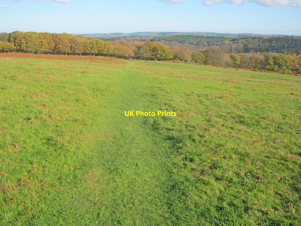 Photo 6"x4" The Wysis Way near The Kymin Kymin\/SO5212 c2010