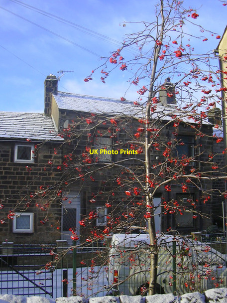 Photo 6"x4" Brunswick Street, Walsden Knowl Wood\/SD9322 c2010