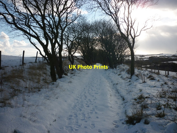 Photo 6"x4" Walking the disused Whitby to Scarborough rail trail Staintondale c2010