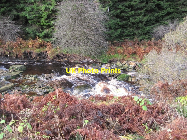 Photo 6"x4" Rapids on the Lewis Burn Fork c2010