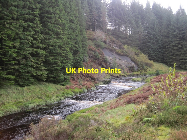 Photo 6"x4" Lewis Burn Scald Pike c2010