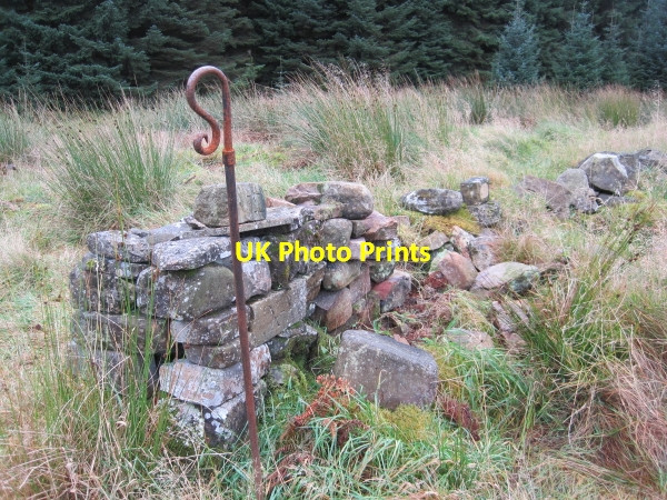 Photo 6"x4" Memorial in The Herd's Garden Low Long Ho c2010