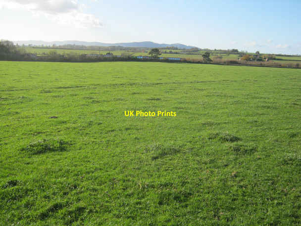 Photo 6"x4" Grassland near Wadborough Hall Farm Stonehall\/SO8848 c2010