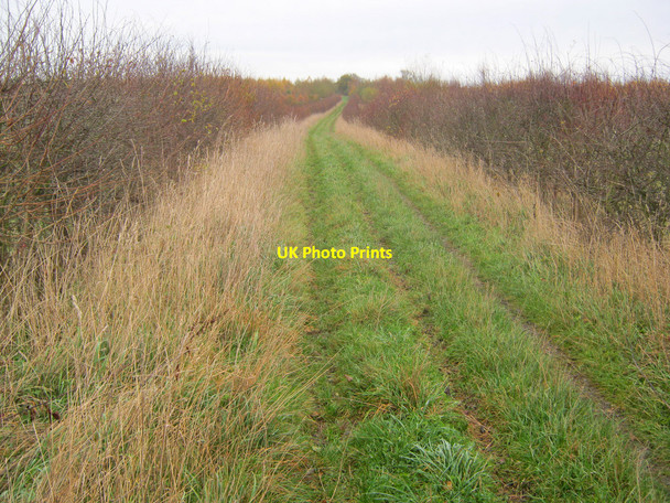 Photo 6"x4" Track at Grange Wood Battram c2010