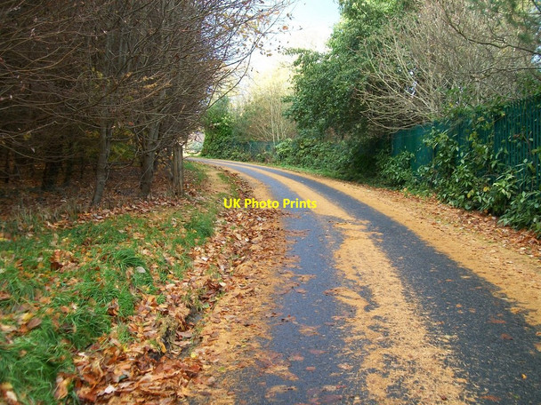 Photo 6"x4" The Burren Walk at Castlewellan Forest Park Castlewellan c2010