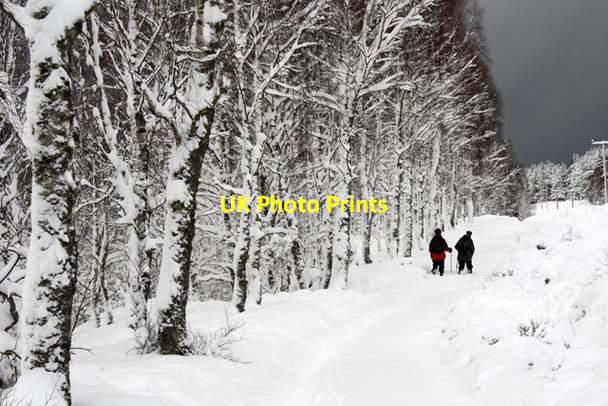 Photo 6"x4" A winter walk Sluggan c2010