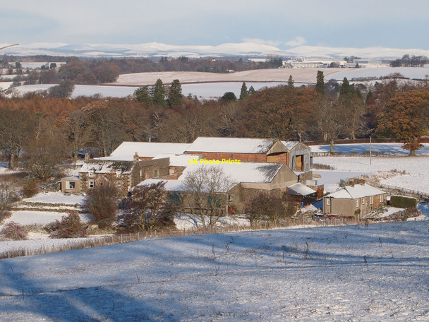 Photo 6"x4" Parkfield Farm Scone c2010