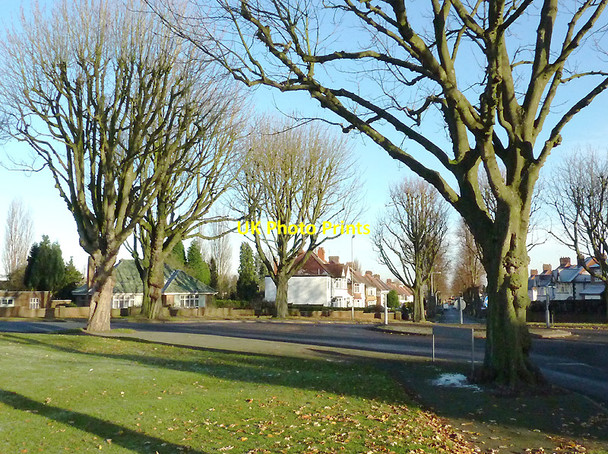 Photo 6"x4" Trees on Goldthorn Park Estate, Wolverhampton Wolverhampton c2010