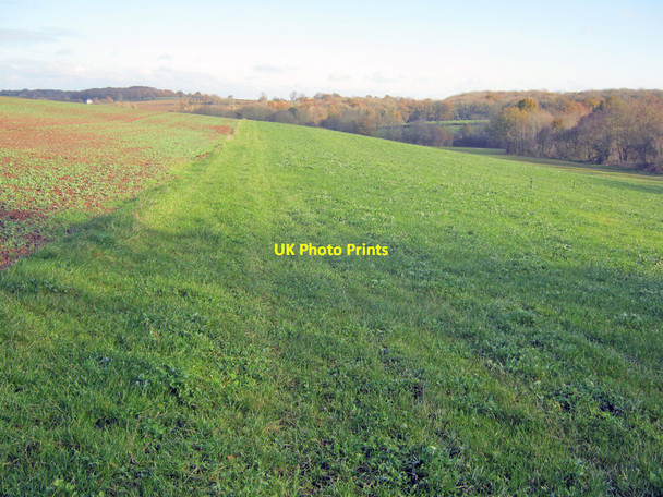Photo 6"x4" Farmland south of Ganderland Wacton\/SO6157 c2010
