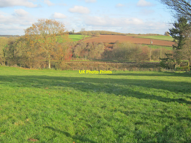 Photo 6"x4" Railway embankment at Wacton Wacton\/SO6157 c2010