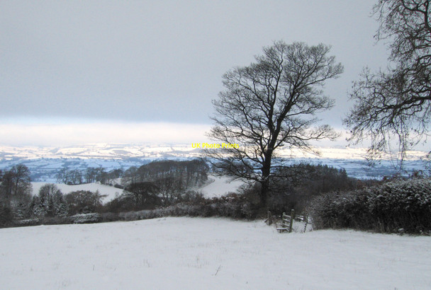 Photo 6"x4" Light on the horizon Bentlawnt c2010