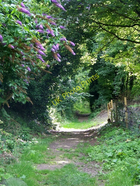 Photo 6"x4" Footpath, East Chisenbury East Chisenbury c2009