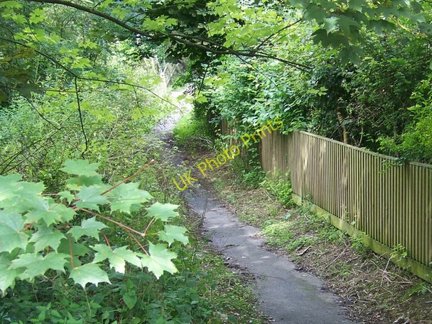 Photo 6"x4" Footpath, East Chisenbury East Chisenbury c2009 P1