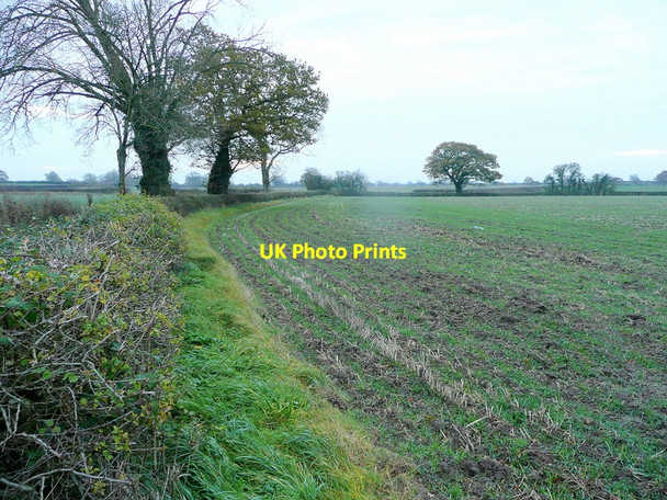 Photo 6"x4" Arable field edge Bridge End\/SO8031 c2010