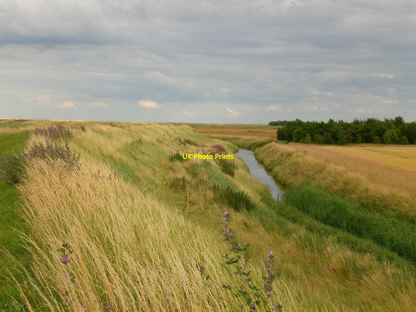 Photo 6"x4" Drained marshes where the Welland once flowed Bucklegate c2009