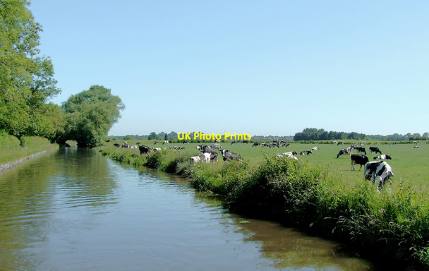 Photo 6"x4" Canalside grazing north of Acton Trussell, Staffordshire Acton Trussell c2010
