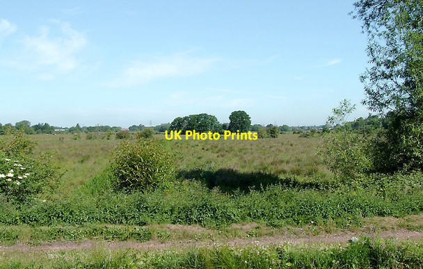 Photo 6"x4" Rough grazing land near Stafford Moss Pit c2010