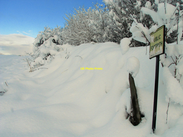 Photo 6"x4" Footpath to Huntingtower Huntingtower c2010